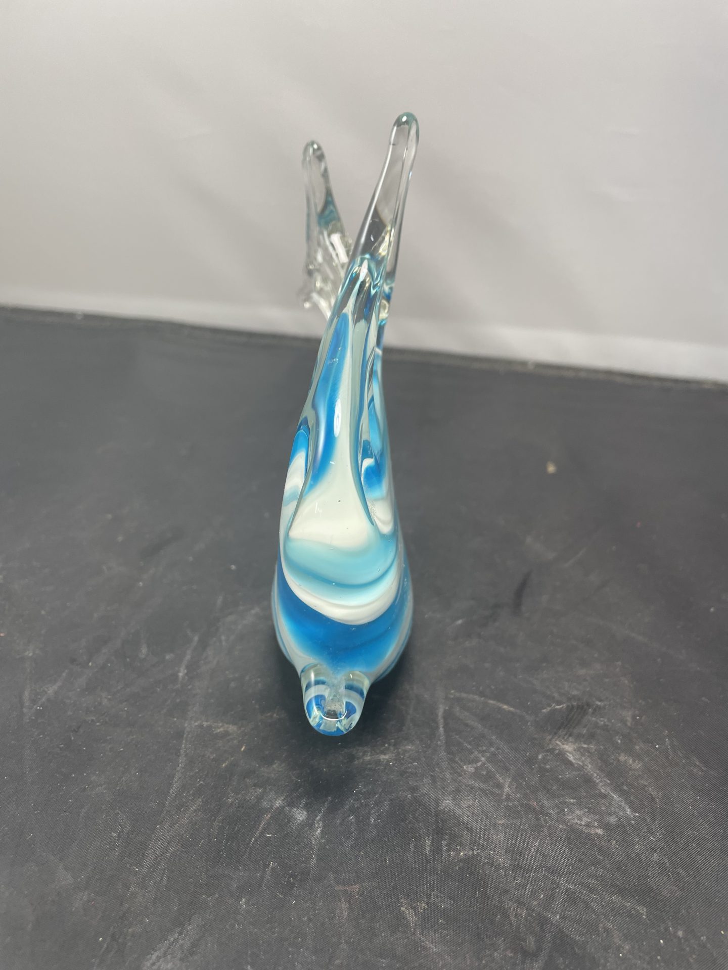 Fresh Look at Blue Glass Fish