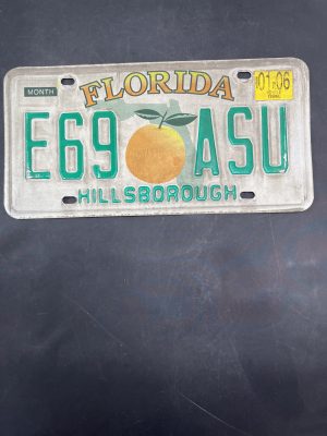 06 FL Green Letters License Plate