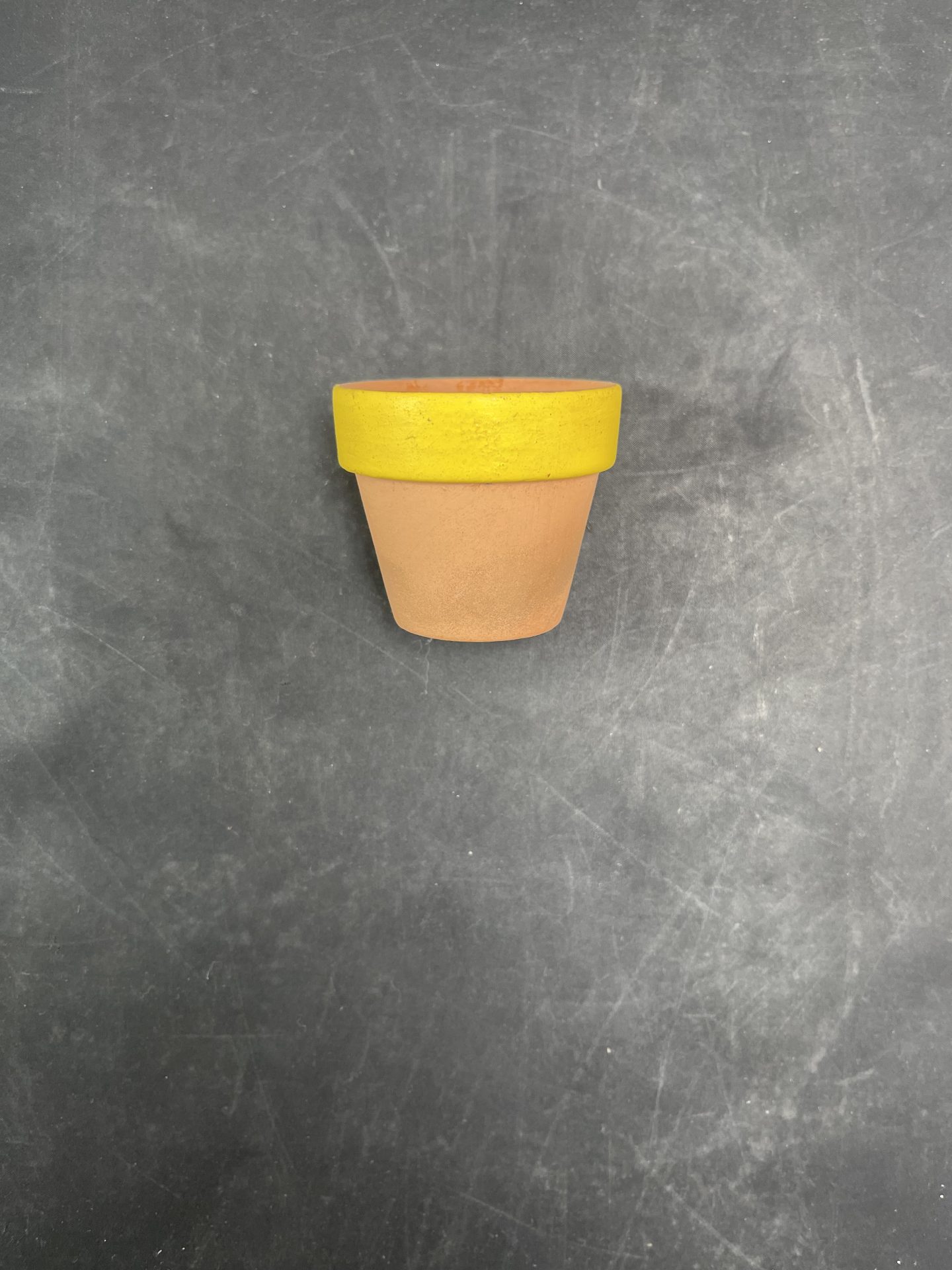 Mini Terracotta Planter Pot - Picker Place