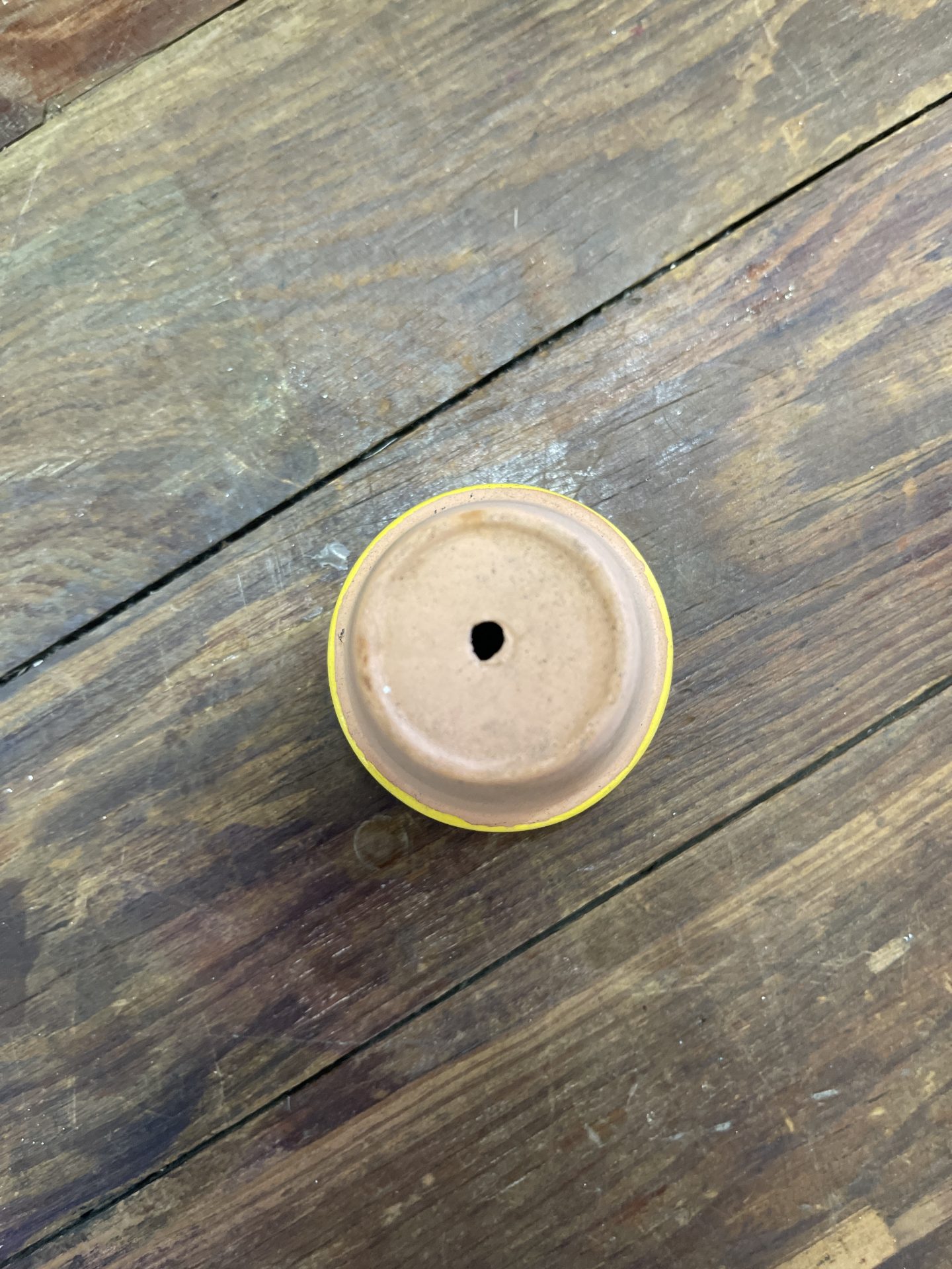 Mini Terracotta Planter Pot - Picker Place