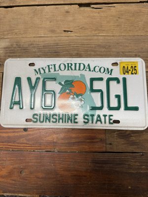 FL License Plate AY6 5GL