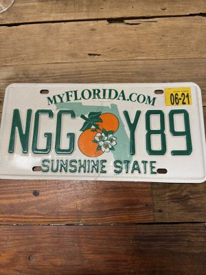 Florida License Plate NGG Y89