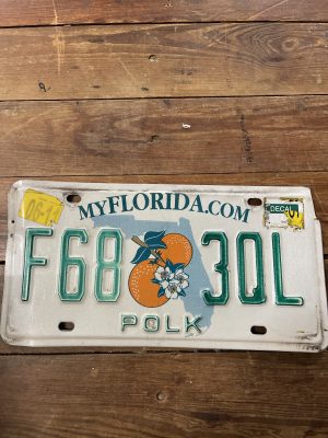FL License Plate F68 3QL